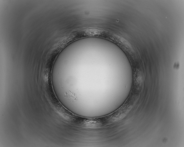 X0000097590315200803141900