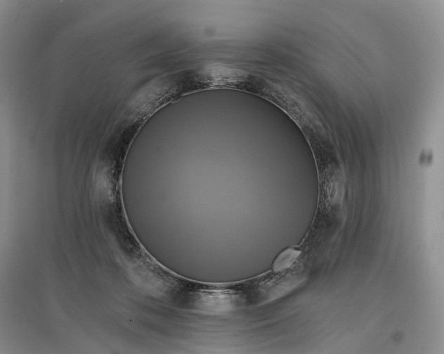 X0000097590316200803141900