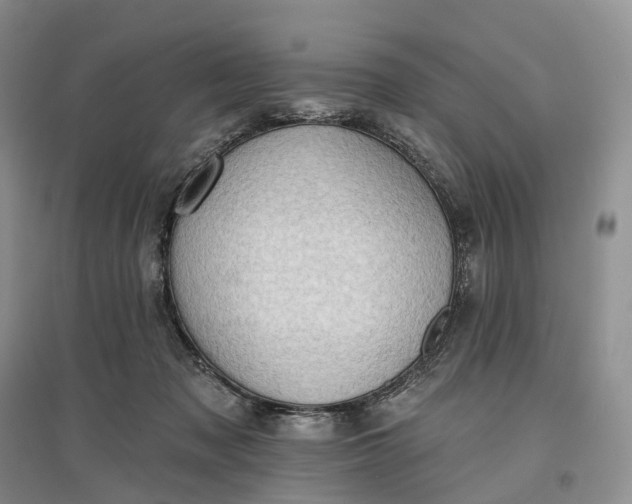 X0000097590317200803141900