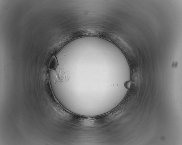 X0000097590318200803141900