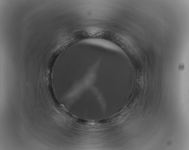 X0000097590319200803141900