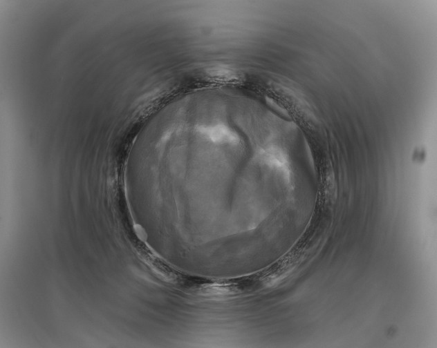 X0000097590320200803141900