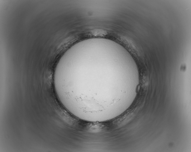 X0000097590321200803141900