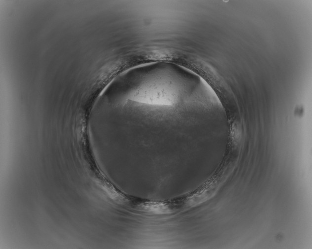 X0000097590322200803141900