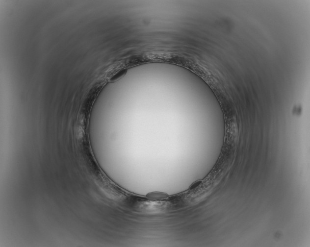 X0000097590323200803141900