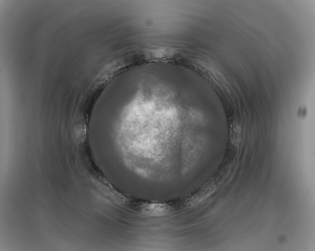 X0000097590324200803141900