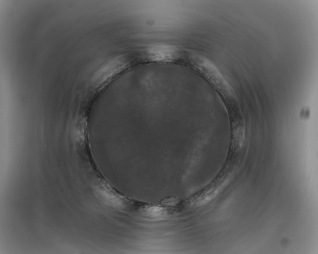 X0000097590325200803141900