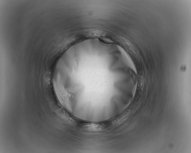 X0000097590326200803141900