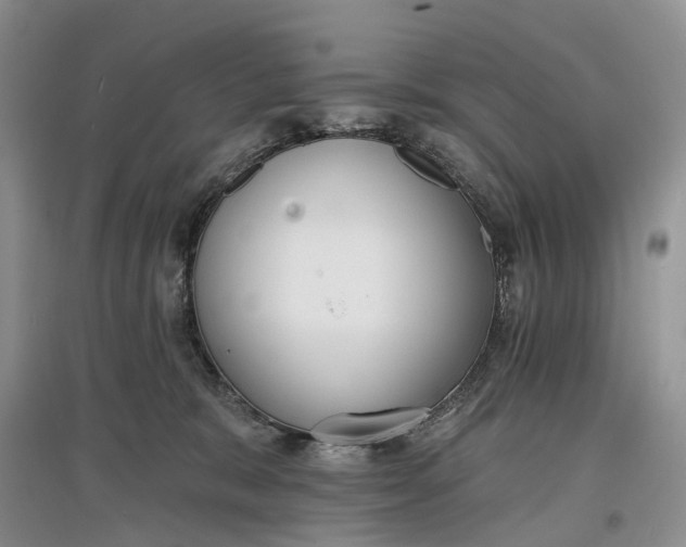 X0000097590327200803141900