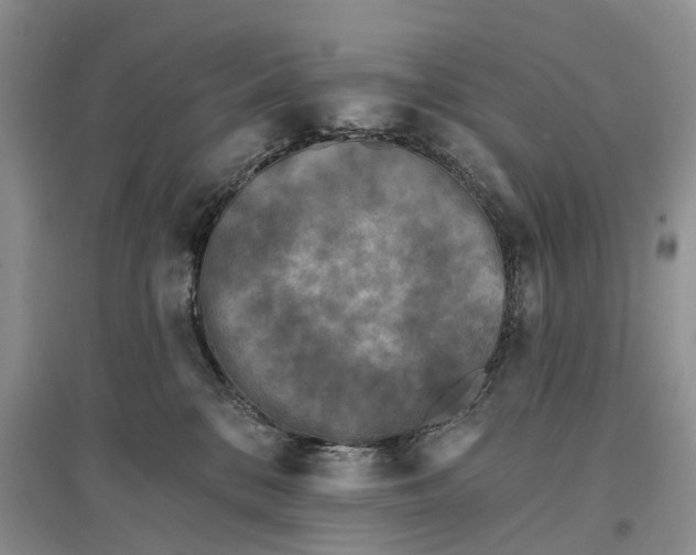 X0000097590328200803141900