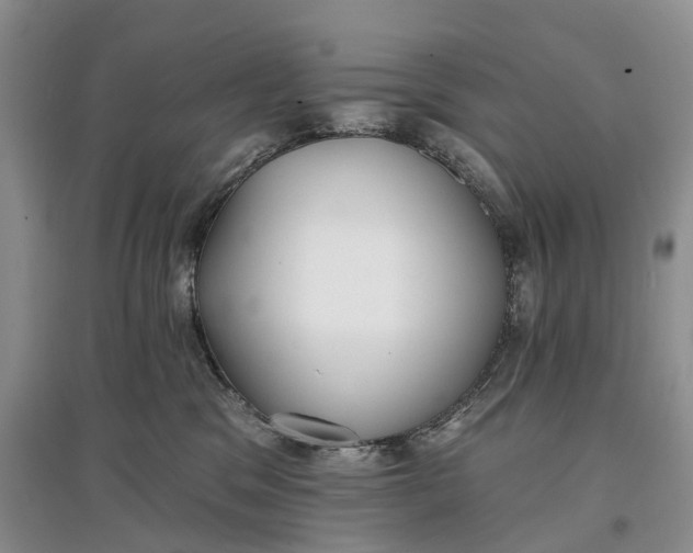 X0000097590329200803141900