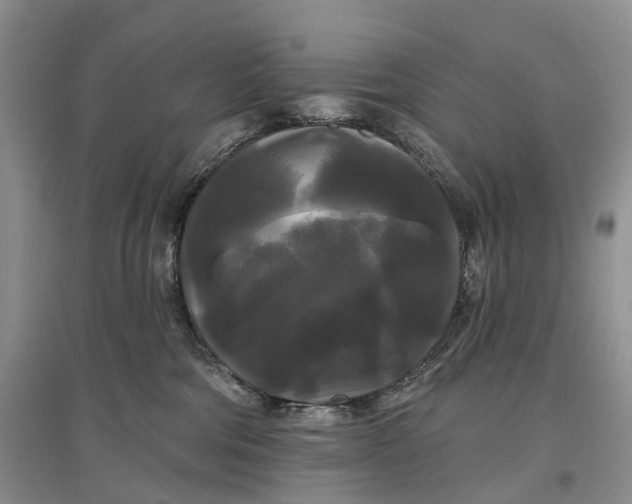 X0000097590330200803141900