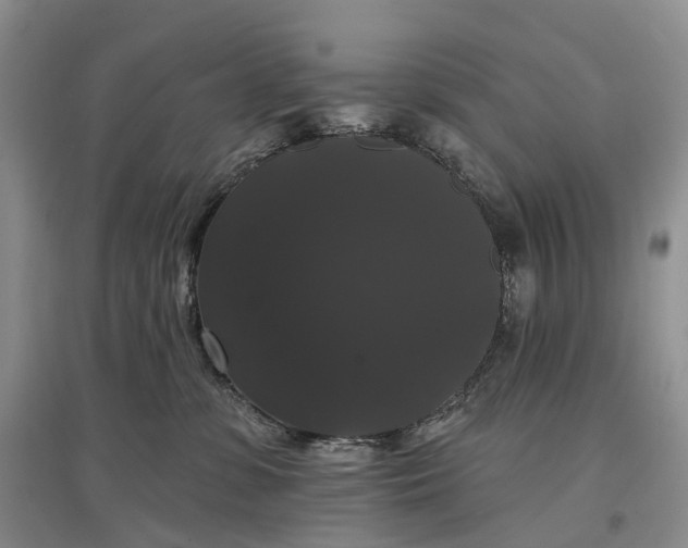 X0000097590331200803141900