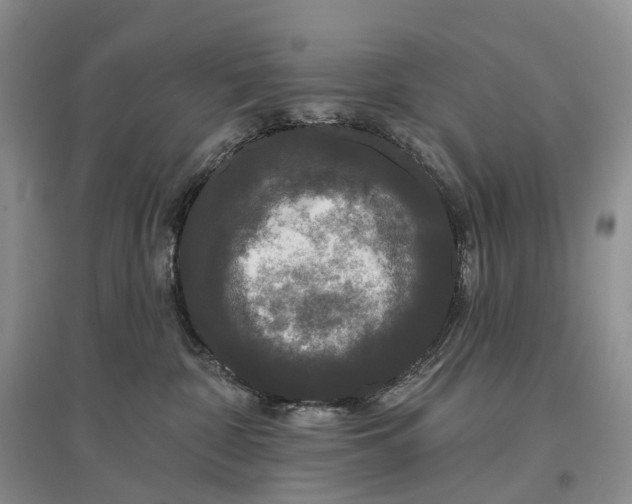 X0000097590332200803141900