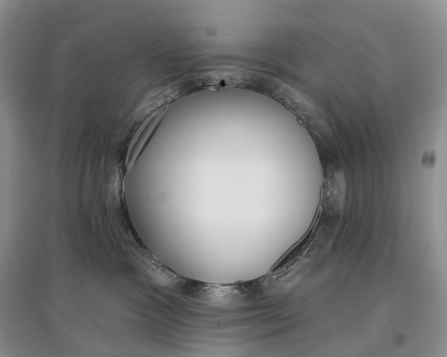 X0000097590333200803141900