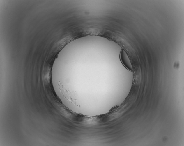 X0000097590334200803141900