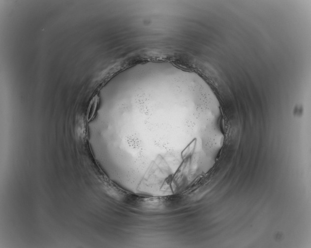 X0000097590335200803141900