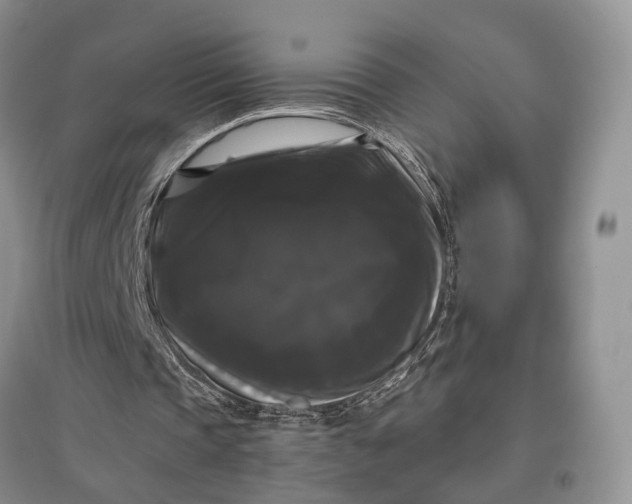 X0000097590337200803141859