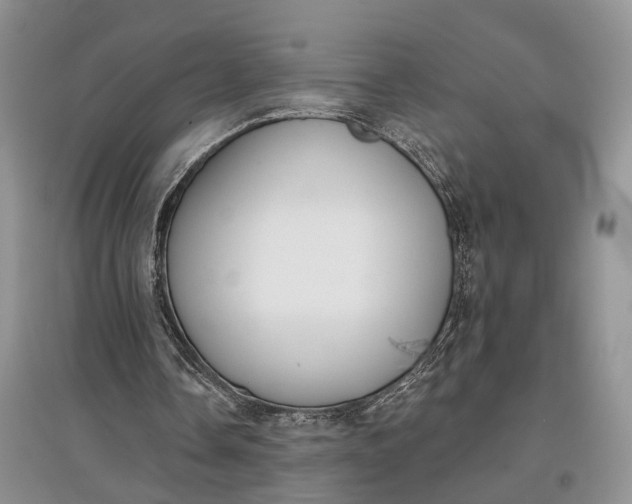 X0000097590338200803141859