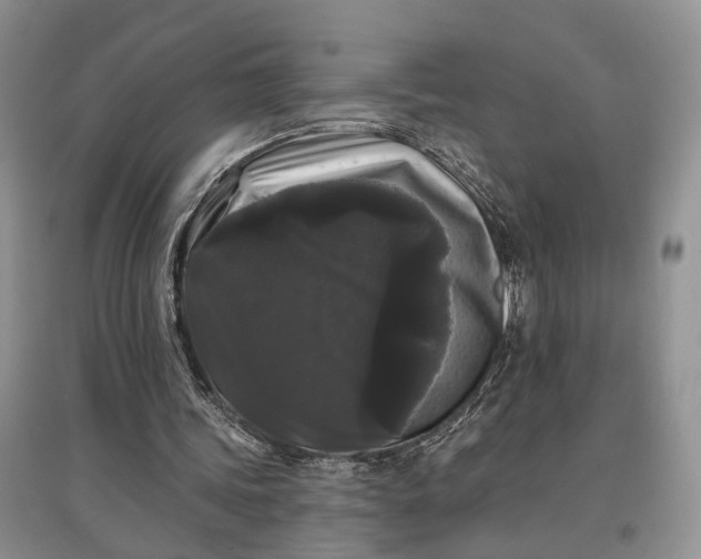 X0000097590339200803141859