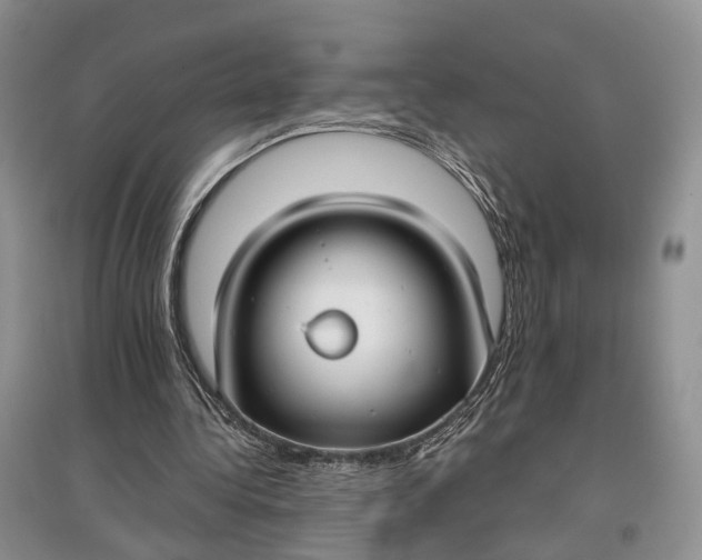 X0000097590340200803141859