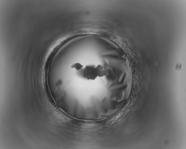 X0000097590342200803141859