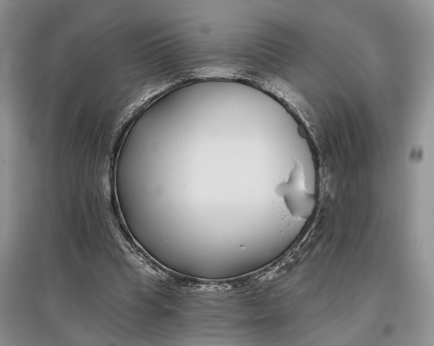 X0000097590345200803141859