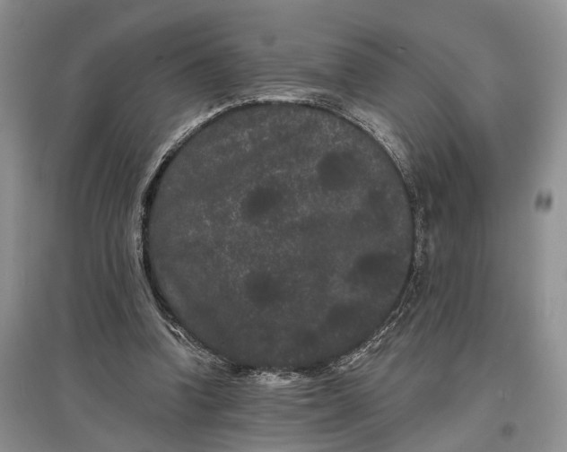 X0000097590346200803141859