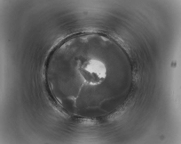 X0000097590347200803141859