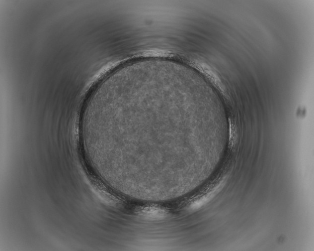 X0000097590348200803141859