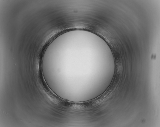 X0000097590350200803141859