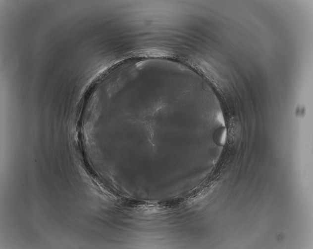 X0000097590351200803141859