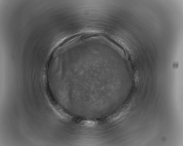 X0000097590352200803141859