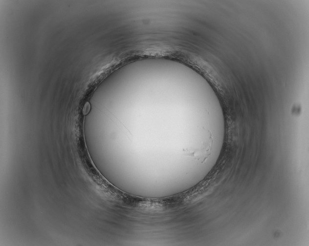 X0000097590354200803141859