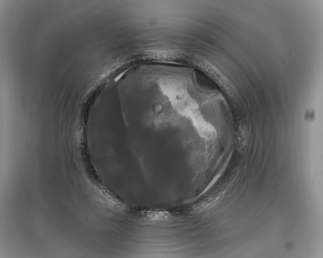 X0000097590355200803141859