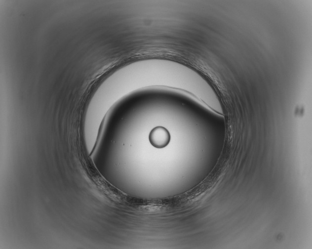 X0000097590356200803141859