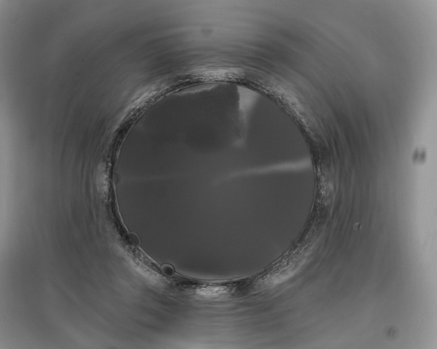 X0000097590357200803141859