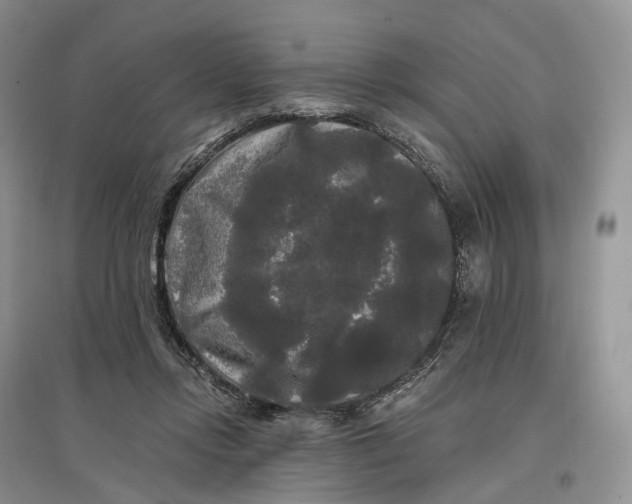 X0000097590358200803141859