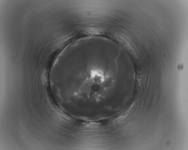 X0000097590359200803141859