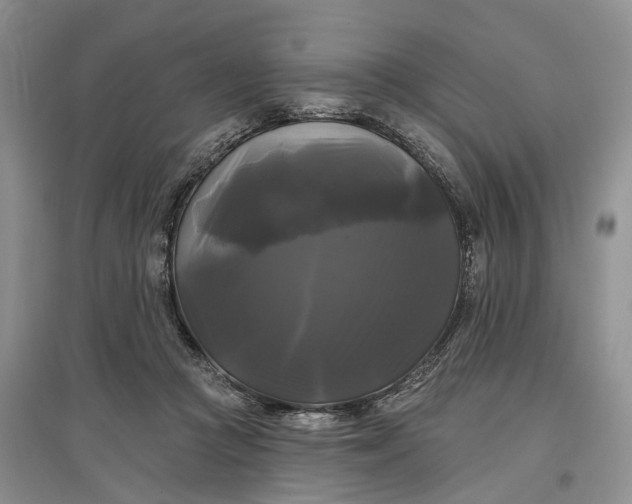 X0000097590361200803141859