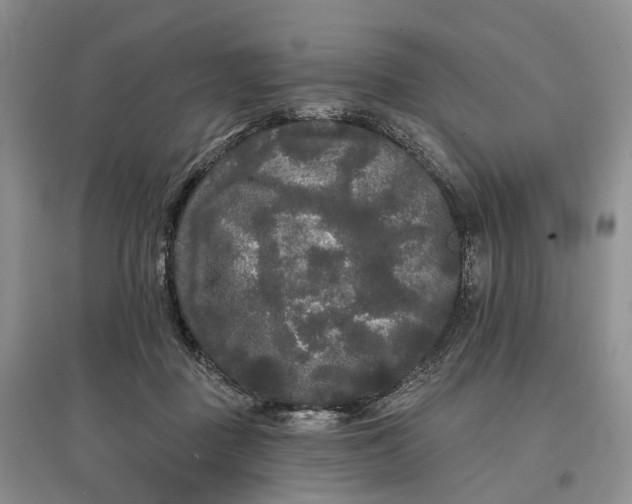 X0000097590363200803141859