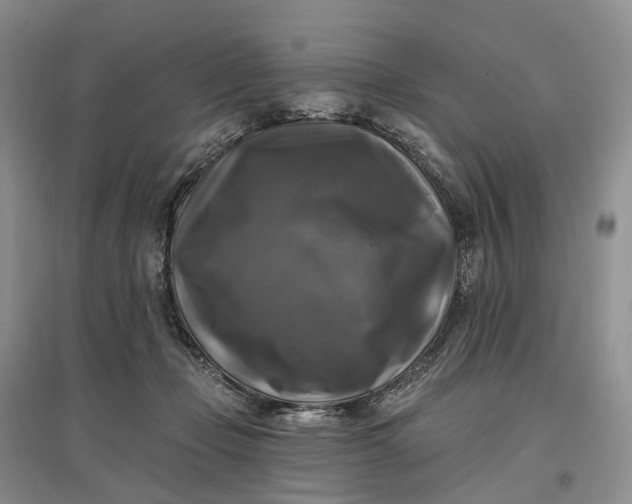 X0000097590365200803141859