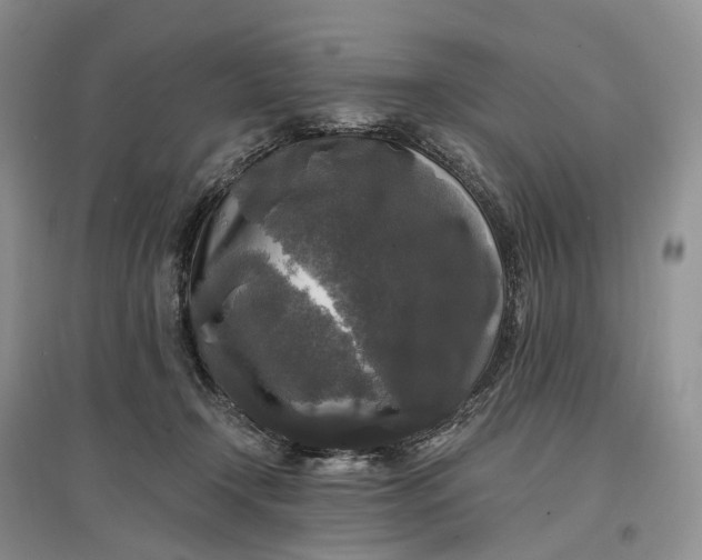 X0000097590366200803141859