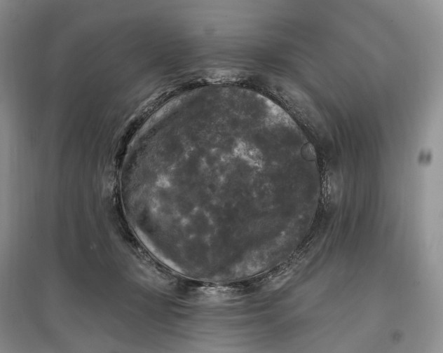 X0000097590367200803141859