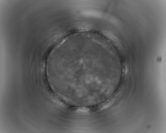 X0000097590369200803141859