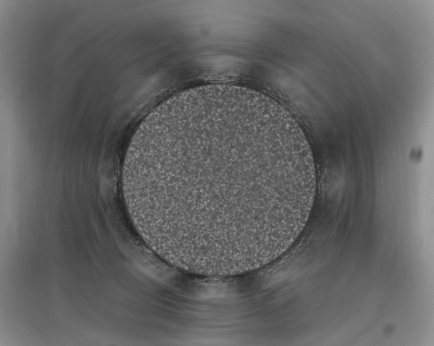 X0000097590370200803141859