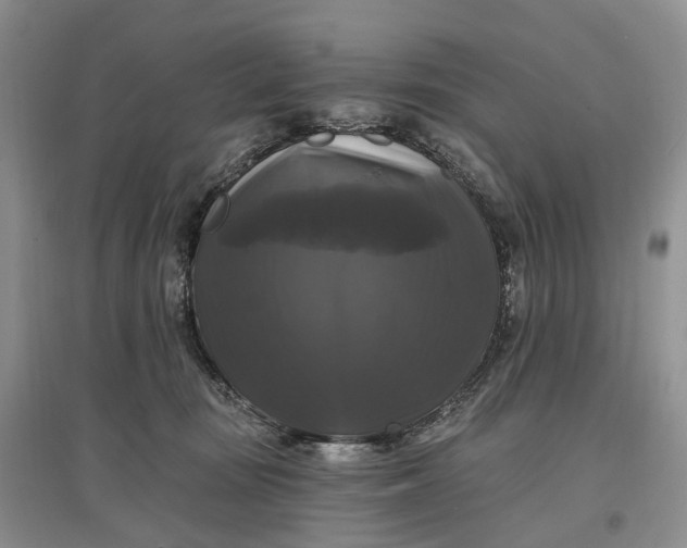 X0000097590371200803141900