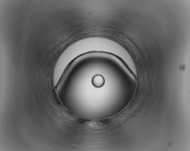 X0000097590372200803141900