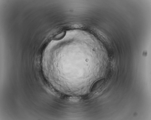 X0000097590373200803141900