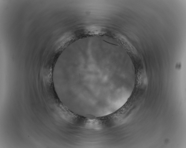 X0000097590376200803141900